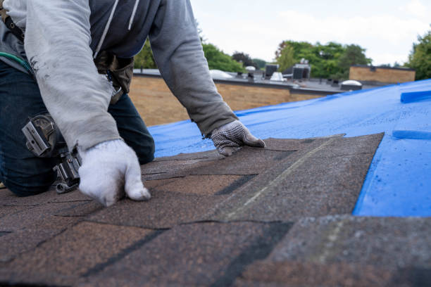 Best Roof Repair Specialists  in Richmond, MI