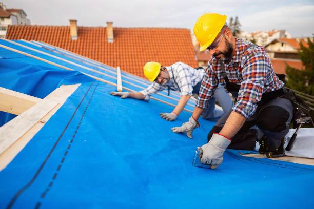 Best Sealant for Roof  in Richmond, MI