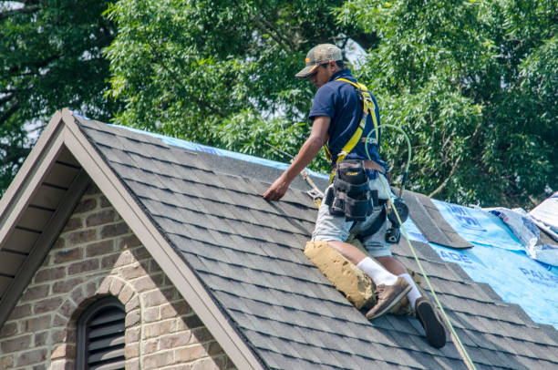 Best New Roof Installation  in Richmond, MI